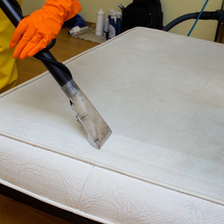Carpet cleaning services in Los Angeles, CA Carpet cleaning services in Los Angeles, CA