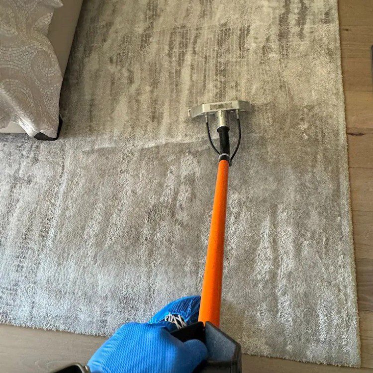 Carpet cleaning services in Los Angeles, CA Carpet cleaning services in Los Angeles, CA