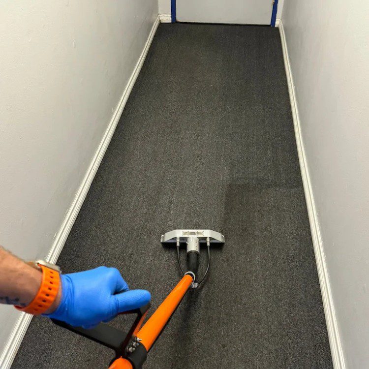 Carpet cleaning services in Los Angeles, CA Carpet cleaning services in Los Angeles, CA