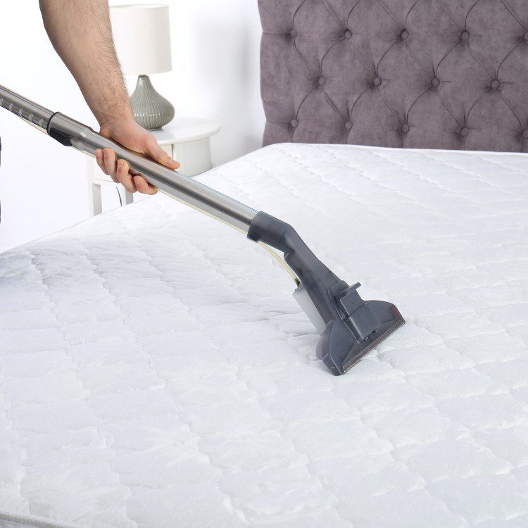 Carpet cleaning services in Los Angeles, CA Carpet cleaning services in Los Angeles, CA