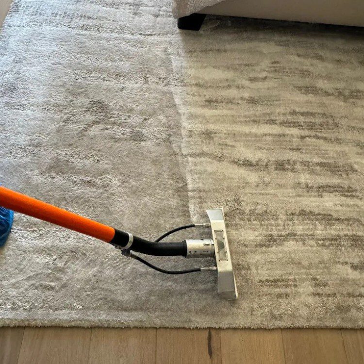 Carpet cleaning services in Los Angeles, CA Carpet cleaning services in Los Angeles, CA