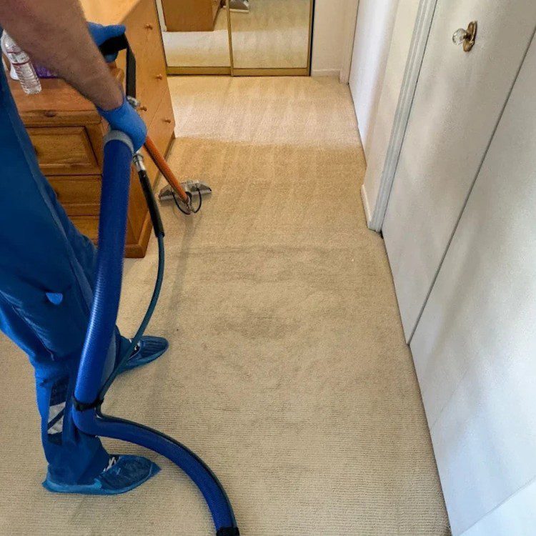 Carpet cleaning services in Los Angeles, CA Carpet cleaning services in Los Angeles, CA