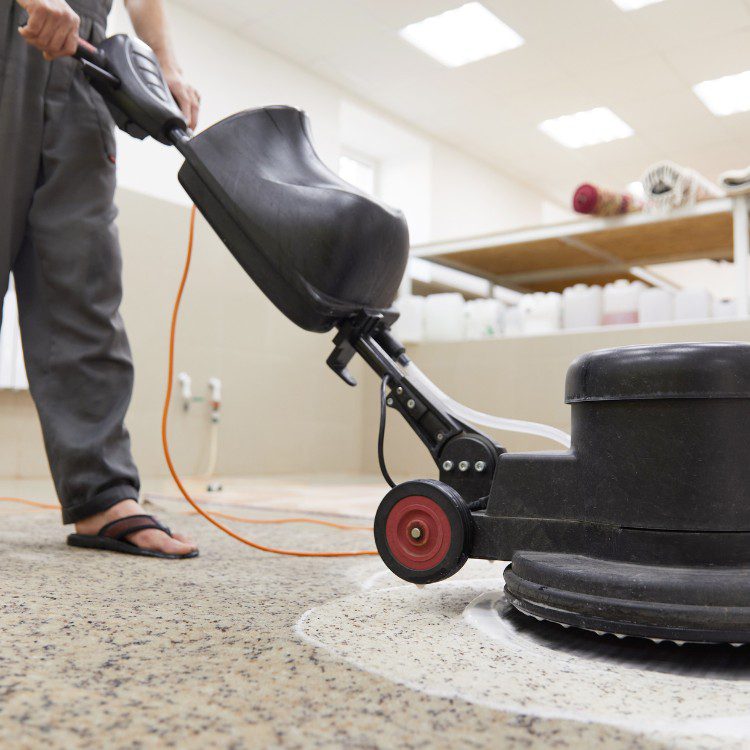 Carpet cleaning services in Los Angeles, CA
