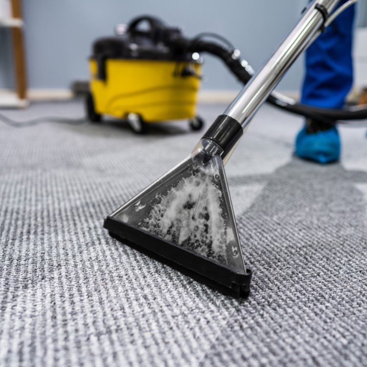 Carpet cleaning services in Los Angeles, CA