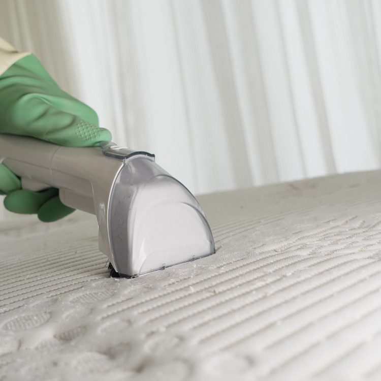 Carpet cleaning services in Los Angeles, CA Carpet cleaning services in Los Angeles, CA