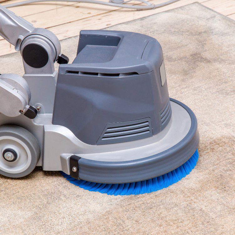 Carpet cleaning services in Los Angeles, CA