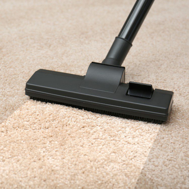 Carpet cleaning services in Los Angeles, CA