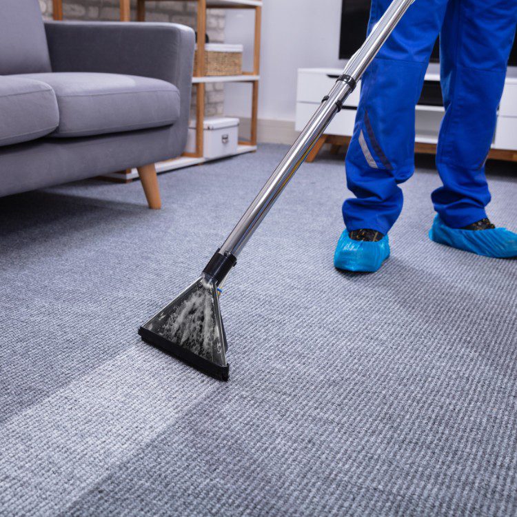 Carpet cleaning services in Los Angeles, CA Carpet cleaning services in Los Angeles, CA